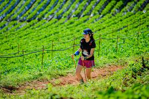 BIB: 
                            <button type="button" onclick="openModal(19163366)" class="btn btn-primary btn-sm float-right btn-popup" data-toggle="modal" data-target=".modal-high-quality">
                        <i class="fas fa-shopping-cart"></i> Add to Cart
                    </button>
                                            <button type="button" onclick="isThisMe(19163366, true)" class="btn btn-success btn-sm float-right btn-popup btn-isme hidden" data-toggle="tooltip" data-placement="bottom" title="นี่คือรูปของคุณใช่ไหม คลิกที่นี่เพื่อเอาเข้าอัลบั้ม">
                        <i class="fas fa-plus"></i> Add to album
                    </button>
                    <button type="button" onclick="isThisMe(19163366, false)" class="btn btn-warning btn-sm float-right btn-popup btn-isnotme hidden">
                        <i class="fas fa-ban"></i> Remove from album
                    </button>